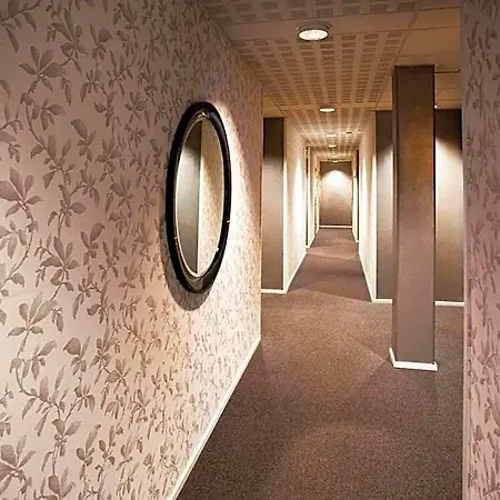 Отель Cityhovi 3*